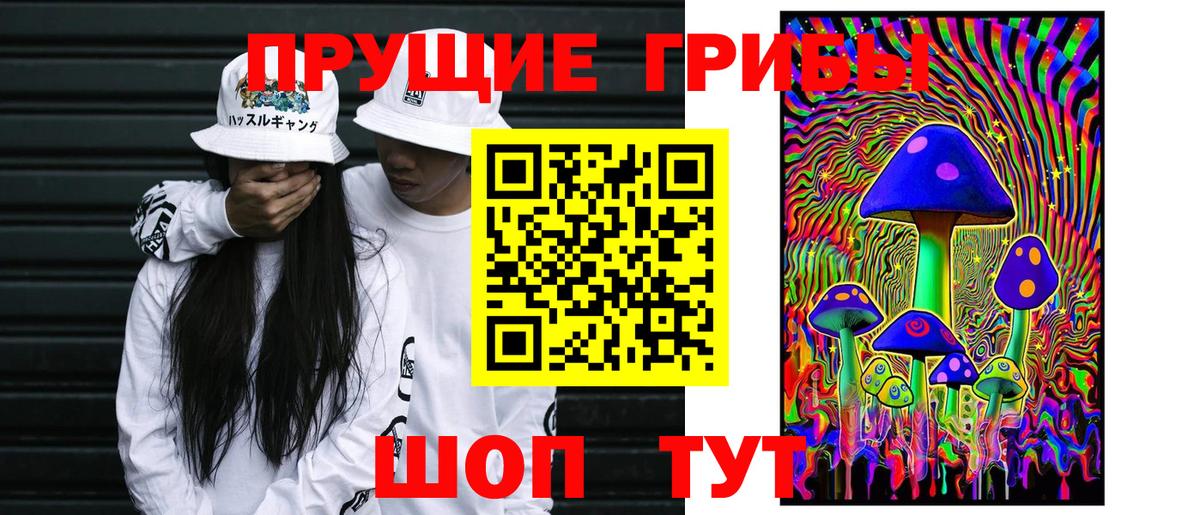 Галлюциногенные грибы Psilocybe  Вход с VPN  Хабаровск 