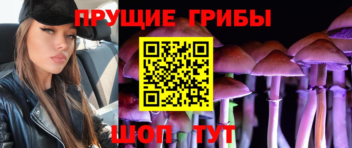 Псилоцибиновые грибы Cubensis Хабаровск